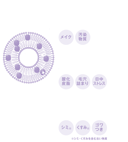 図:センサーカプセルの説明