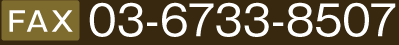 03-6733-8507