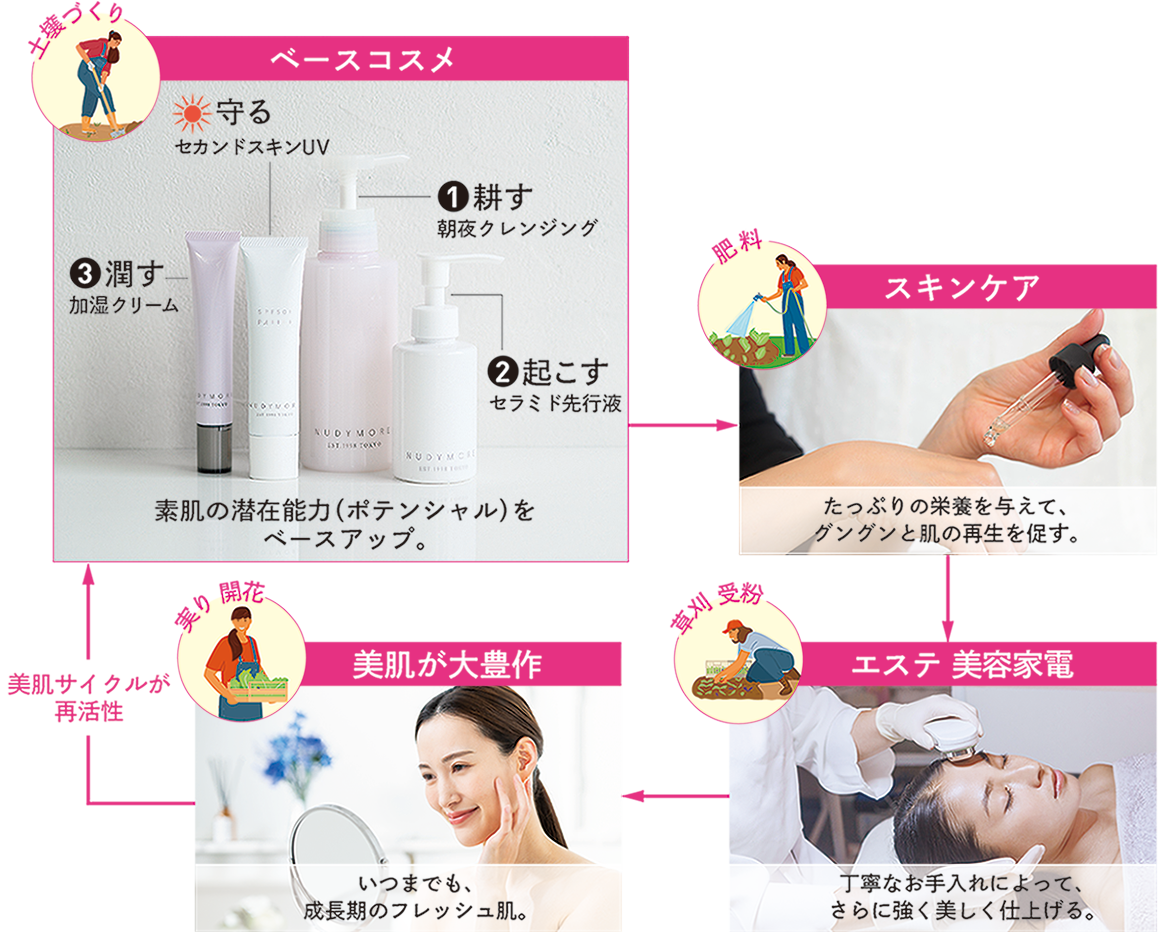 ベースコスメ→スキンケア→エステ→美容家電→美肌が大豊作→素肌サイクルが再活性