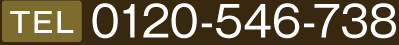 0120-546-738