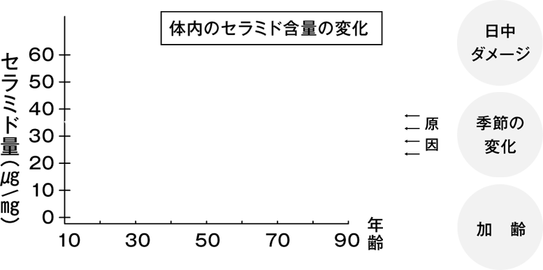 体内のセラミド含量の変化