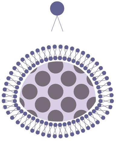 セラミドカプセル